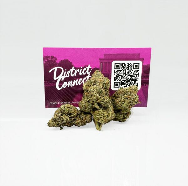 King Louie Louis 13 Strain District Connect maryland weed delivery