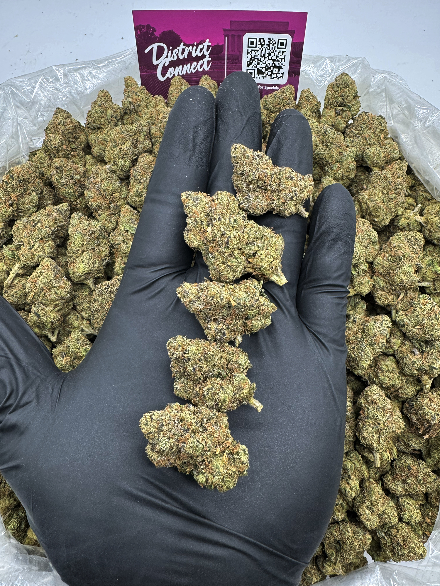 King Louie Louis 13 Strain District Connect washington dc weed delivery