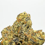 King Louie Louis 13 Strain District Connect dmv weed delivery