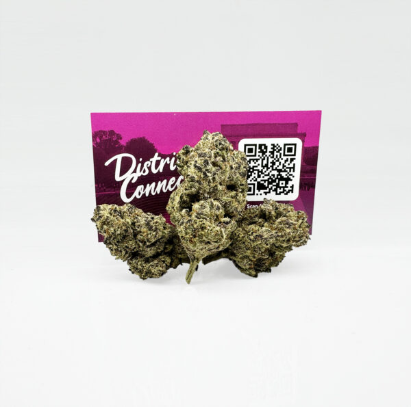 Chocolate Haze Strain District Connect dmv weed delivery