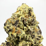 Chocolate Haze Strain District Connect maryland weed delivery