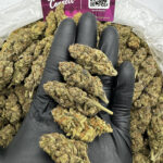 Limonada Strain District Connect virginia weed delivery