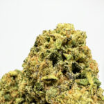 Orange Cream Strain District Connect dmv weed delivery