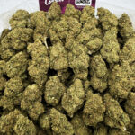 Gas Cakes Strain District Connect dmv weed delivery