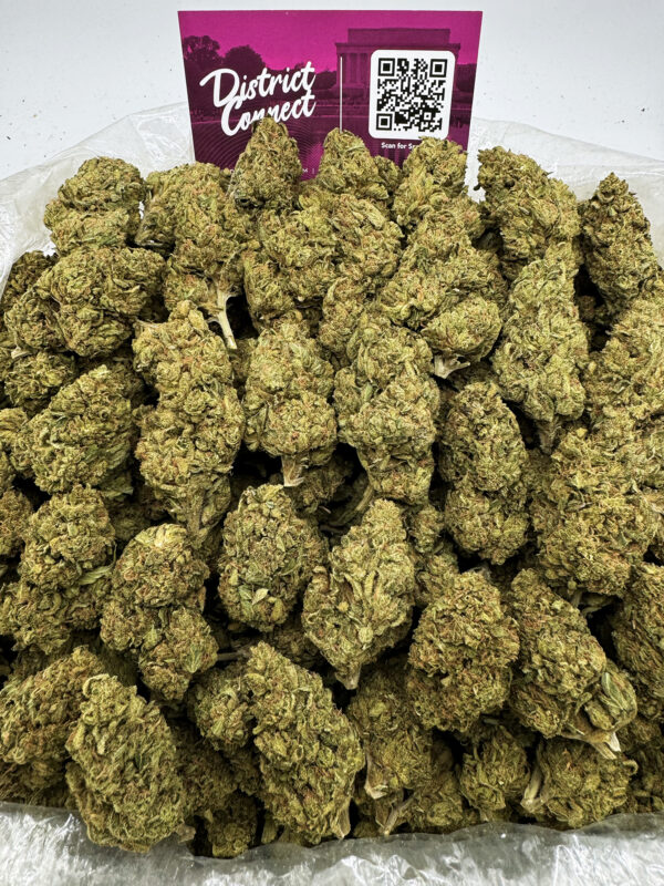 Gas Cakes Strain District Connect dmv weed delivery
