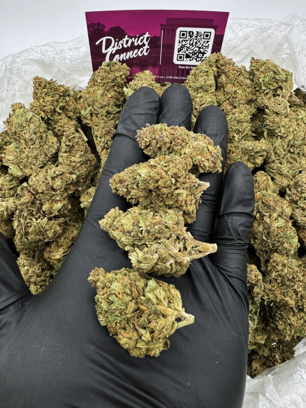 Headband Strain District Connect virginia weed delivery