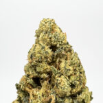 Lemon Cookie Strain District Connect maryland weed delivery