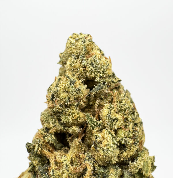 Lemon Cookie Strain District Connect maryland weed delivery