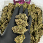 Sour Diesel Strain District Connect virginia weed delivery