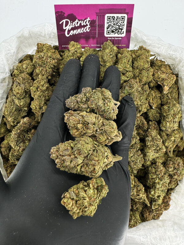 Sour Diesel Strain District Connect virginia weed delivery