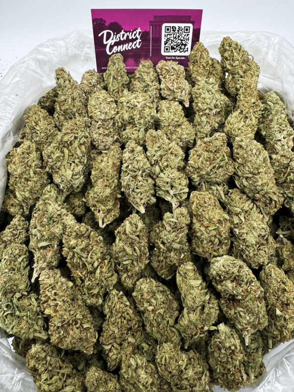 Wifi OG Strain District Connect washington dc weed delivery
