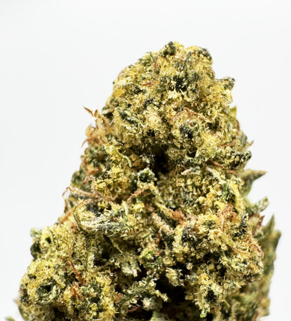 Black Cherry Gelato Strain District Connect washington dc weed delivery