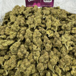 Black Cherry Gelato Strain District Connect dmv weed delivery