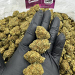 Larry OG Strain District Connect maryland weed delivery