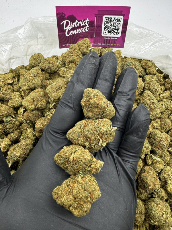 Larry OG Strain District Connect maryland weed delivery