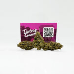 Orange Punch Strain District Connect maryland weed delivery