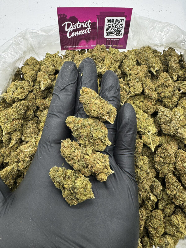 Orange Punch Strain District Connect Virginia Weed delivery