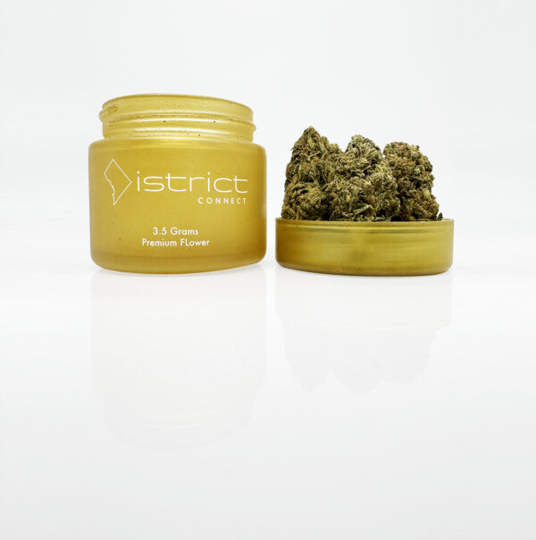 Orange Punch Strain District Connect washington dc