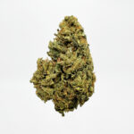 Orange Punch Strain District Connect washington dc weed delivery