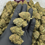 White Walker Strain District Connect dmv weed delivery