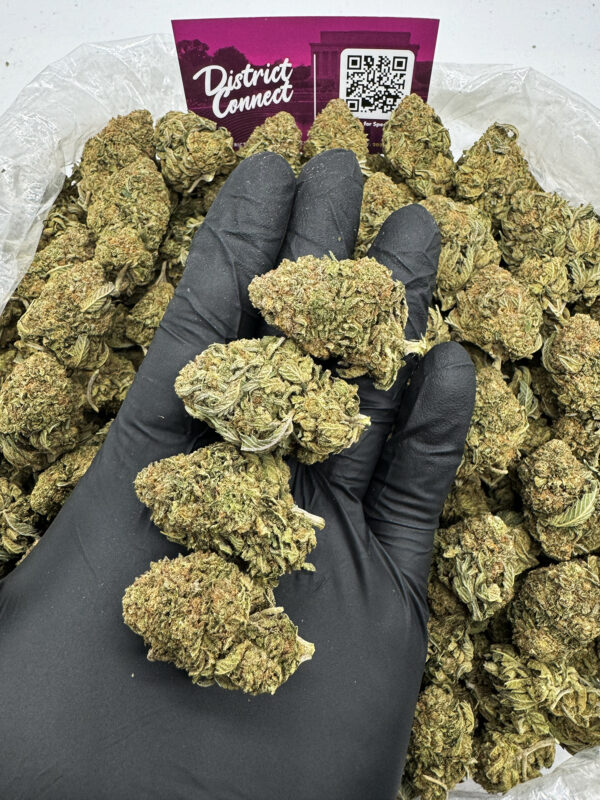 White Walker Strain District Connect dmv weed delivery