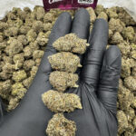 Blackberry Strain District Connect virginia weed delivery