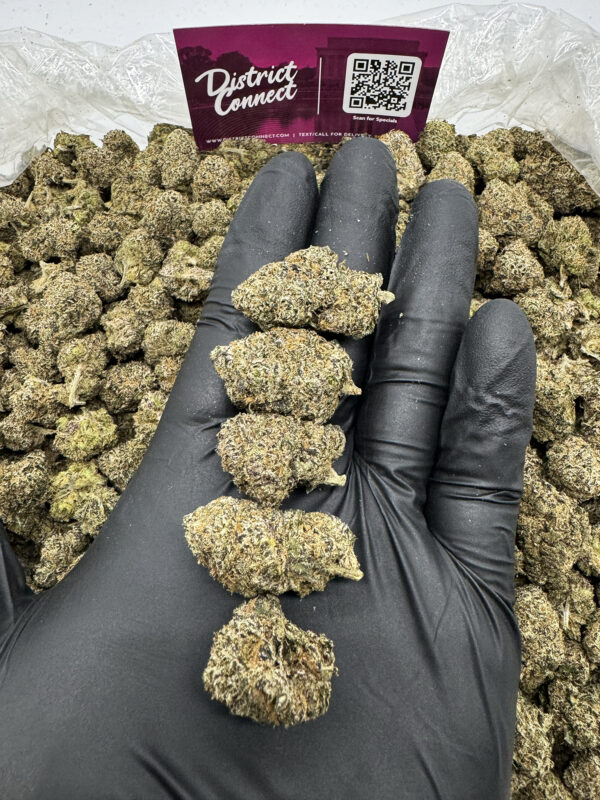Blackberry Strain District Connect virginia weed delivery