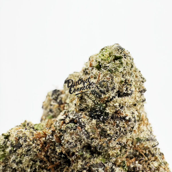 Bolo Runtz Strain District Connect virginia weed delivery