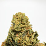Orange Punch Strain District Connect dmv weed delivery