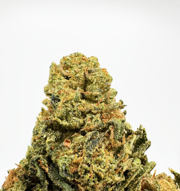 Orange Punch Strain District Connect dmv weed delivery