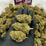 Cherry OG Strain District Connect washington dc weed delivery