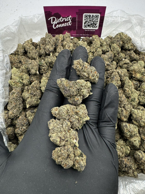 Chocolate Marshmallow Madness Strain District Connect dmv weed delivery