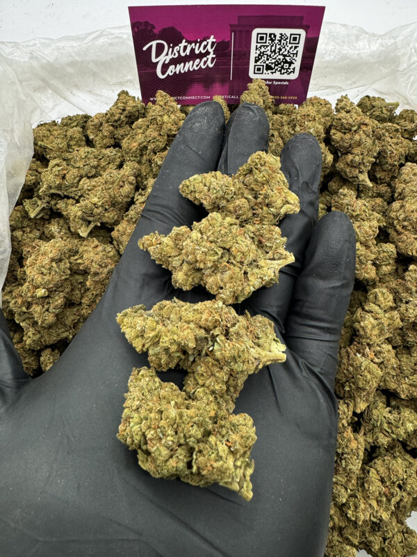 Gas Tanker Strain District Connect virginia weed delivery