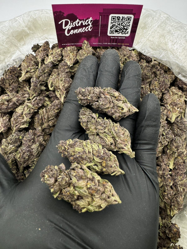 Purple Cherries Strain District Connect washington dc weed delivery