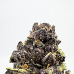 Purple Cherries Strain District Connect virginia weed delivery