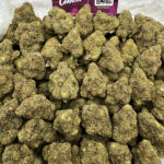 Tropical Cookies Strain District Connect washington dc weed delivery