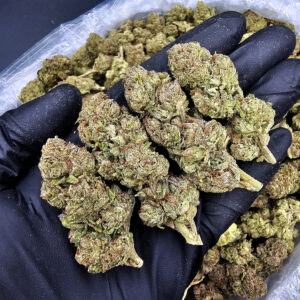 Candy Runtz hybrid cannabis strain, 24–28% THC, featuring frosty green buds for District Connect customers in Washington DC, Virginia, Maryland, and Richmond VA.