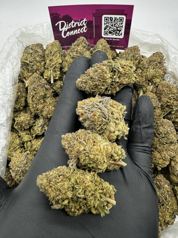 Candyland Strain District Connect washington dc weed delivery