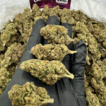 Curelato Strain District Connect dmv weed delivery