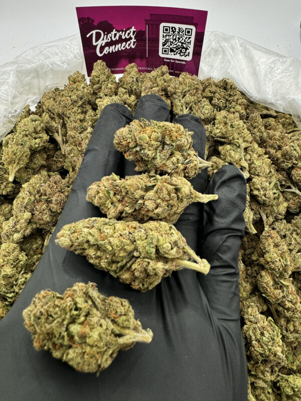 Curelato Strain District Connect dmv weed delivery