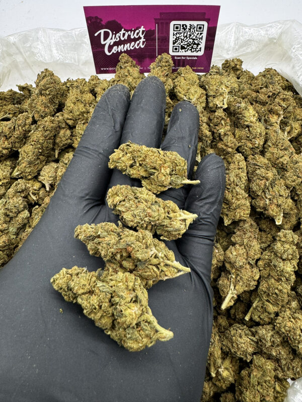 Hawaiian Gold Strain District Connect dmv weed delivery