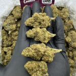Honeydew Strain District Connect dmv weed delivery