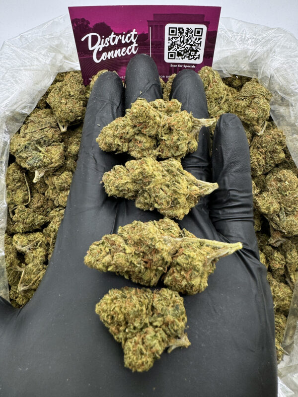 Honeydew Strain District Connect dmv weed delivery