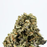 Amnesia Haze Strain District Connect virginia weed delivery