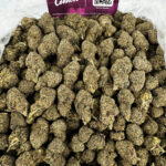 Banana Pie Strain District Connect dmv weed delivery