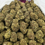 Grape Octane Strain District Connect washington dc weed delivery