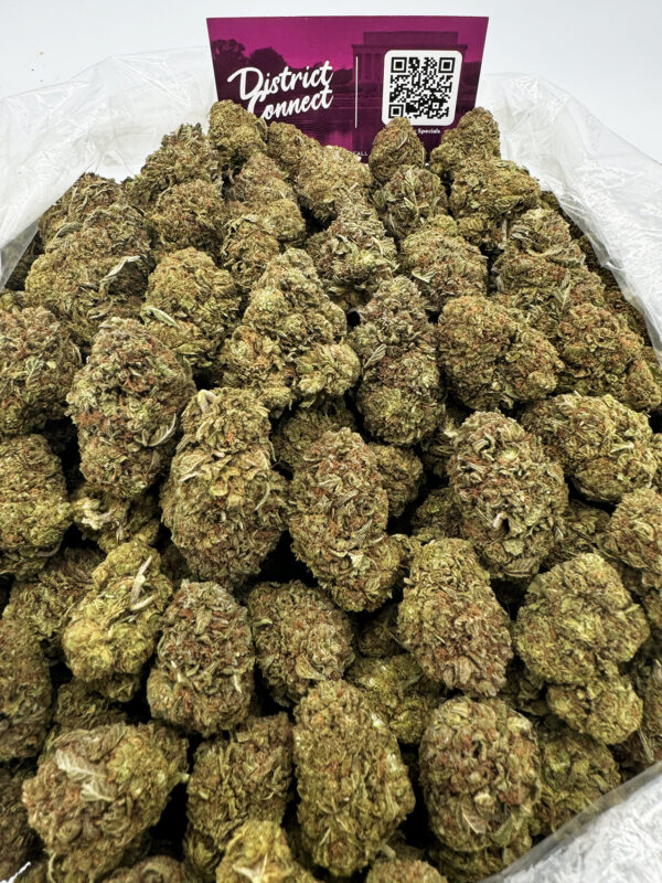 Grape Octane Strain District Connect washington dc weed delivery
