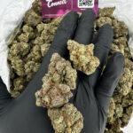 Headbanger Strain District Connect dmv weed delivery