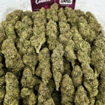 Amnesia Haze Strain District Connect dmv weed delivery