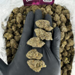 Banana Pie Strain District Connect virginia weed delivery